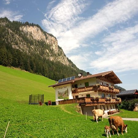 Astegger Talhof Apartment ฟิงเคนแบร์ก ภายนอก รูปภาพ