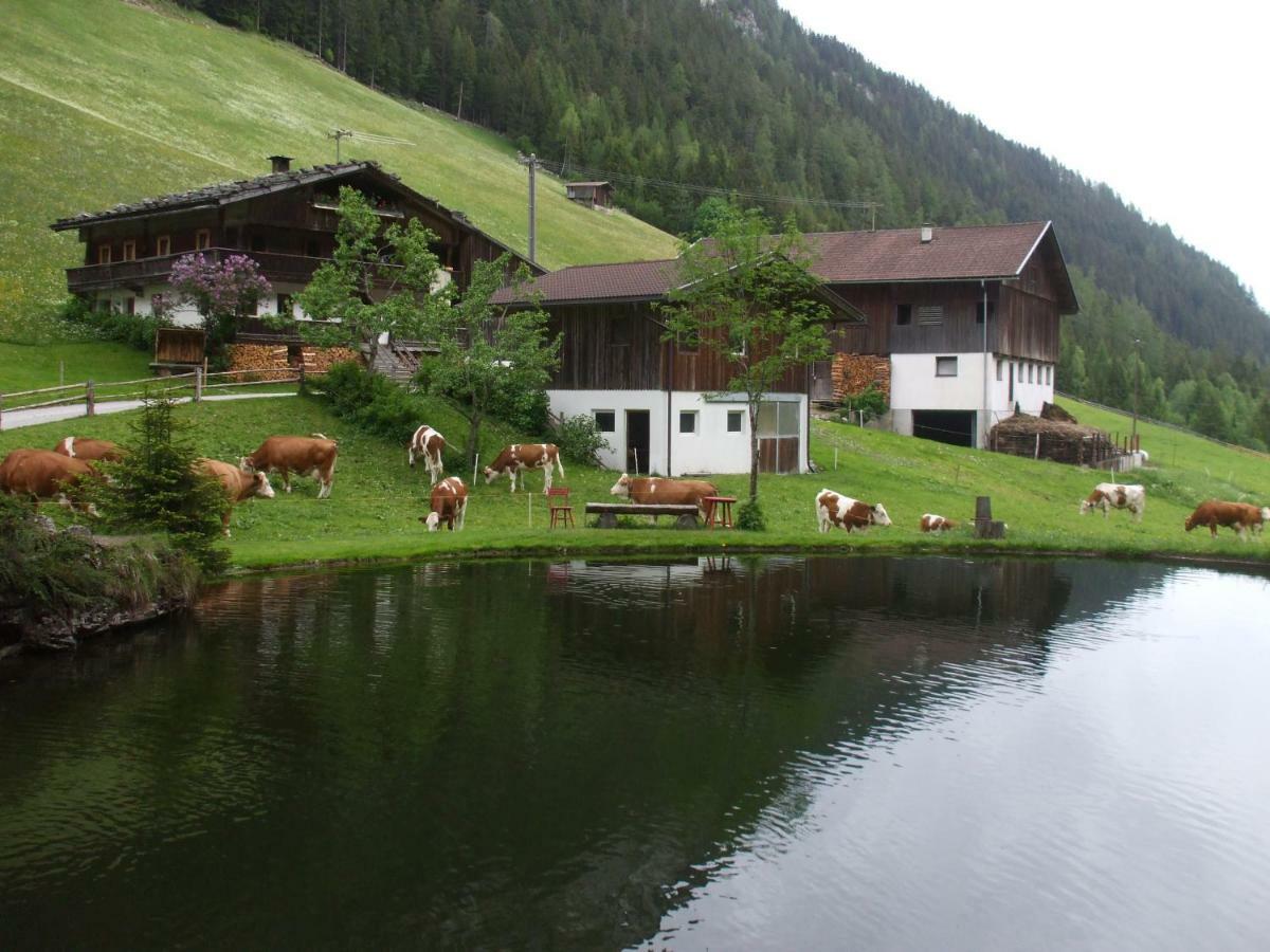 Astegger Talhof Apartment ฟิงเคนแบร์ก ภายนอก รูปภาพ